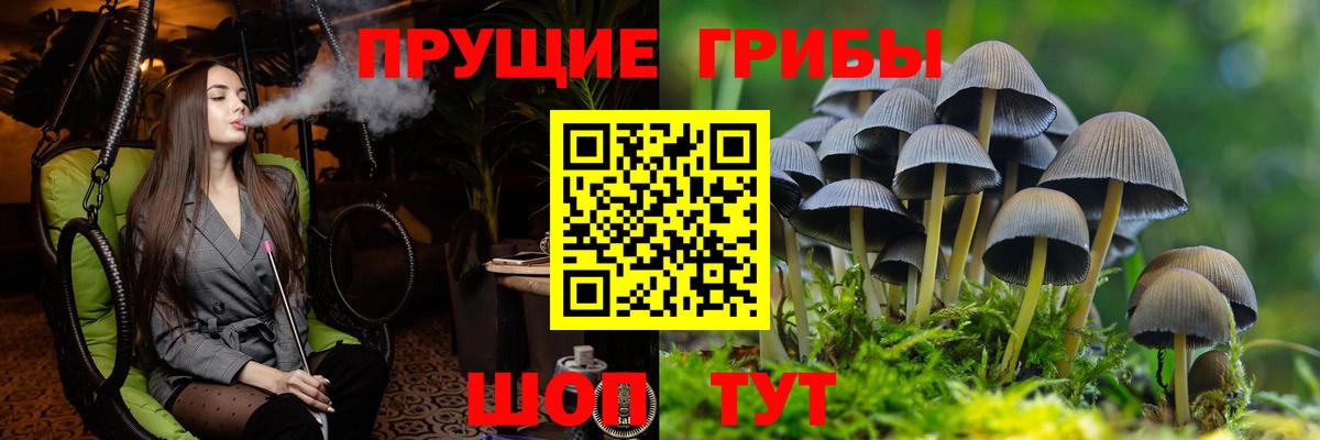 Псилоцибиновые грибы MAGIC MUSHROOMS  Вход с VPN  Кореновск 